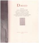 DAVID | 9999900106831 | Fernández Miró, David | Llibres de Companyia - Libros de segunda mano Barcelona