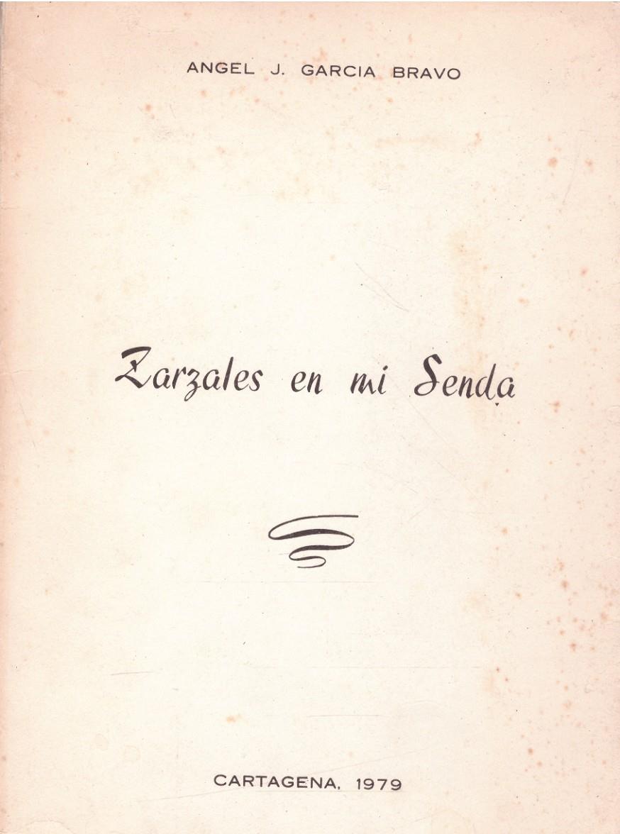 ZARZALES EN MI SENDA | 9999900222616 | Bravo Garcia, J. Angel | Llibres de Companyia - Libros de segunda mano Barcelona