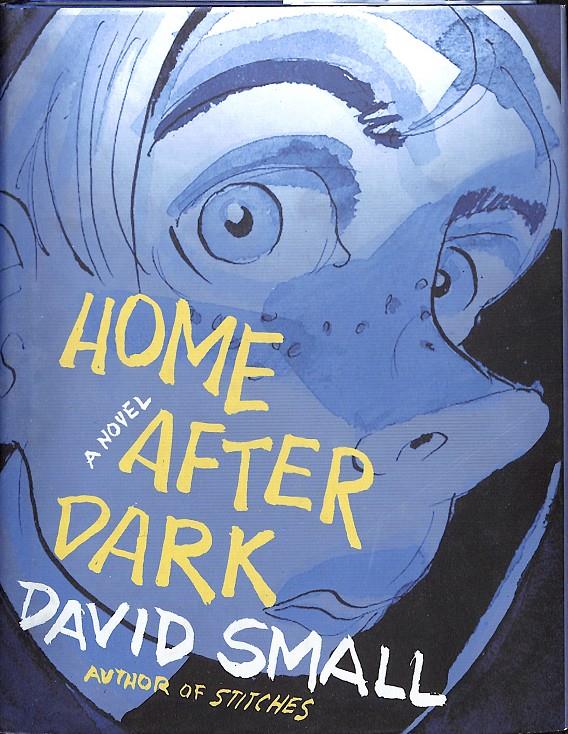 HOME AFTER DARK A NOVEL | 9999900236828 | Small, David | Llibres de Companyia - Libros de segunda mano Barcelona